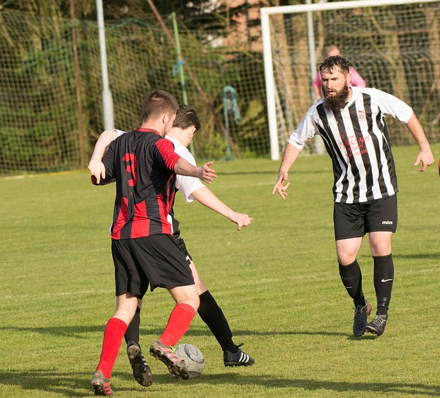 尽管比赛初 尽管比赛初