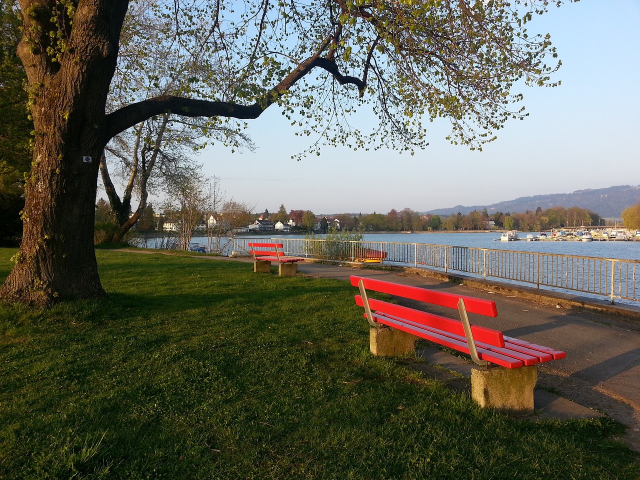 他在對陣烏 他在對陣烏