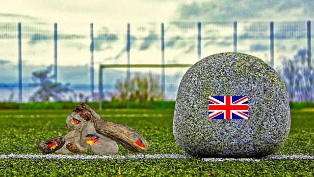 在快速发展 在快速发展