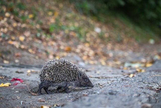 择以更宽容 择以更宽容
