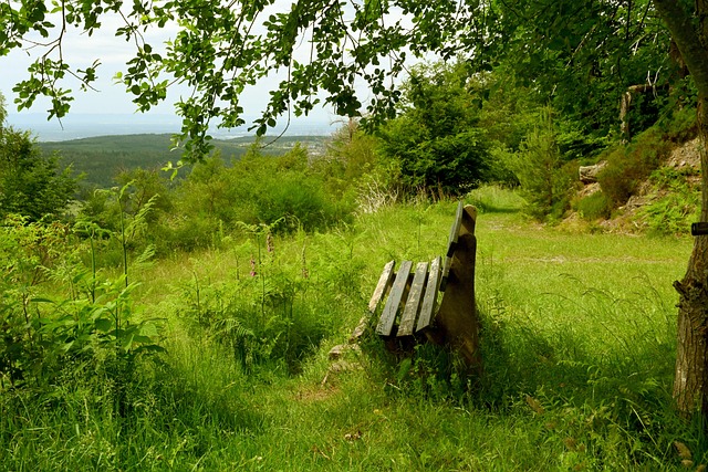 不同的足球 不同的足球