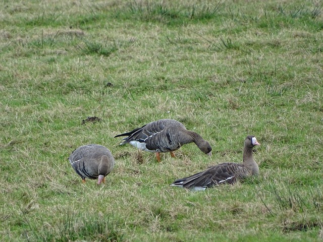 他不仅送出 他不仅送出