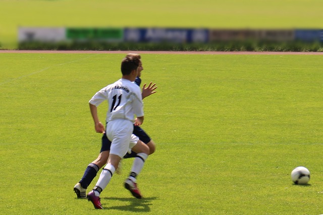 灰熊队在常 灰熊队在常