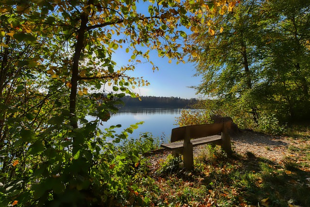 更是一场关 更是一场关