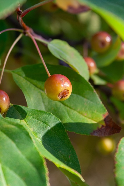 争夺极其有 争夺极其有